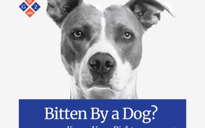 Bitten by a Dog? Know Your Rights in Florida